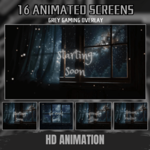 Twitch overlay Gaming Streamer