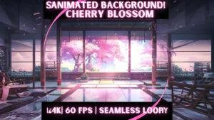 Animated cherry blossom background with seamless loop display